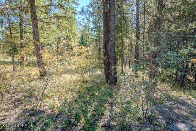 1110 Roosevelt Rd, Bonners Ferry, ID 83805