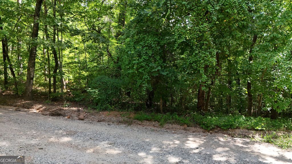 LOT 174 Mountain Crest Drive, Clarkesville, GA 30523 — photo 4