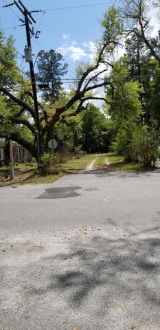 0 Rabb Street, Walterboro, SC 29488