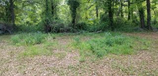 0 Rabb Street, Walterboro, SC 29488