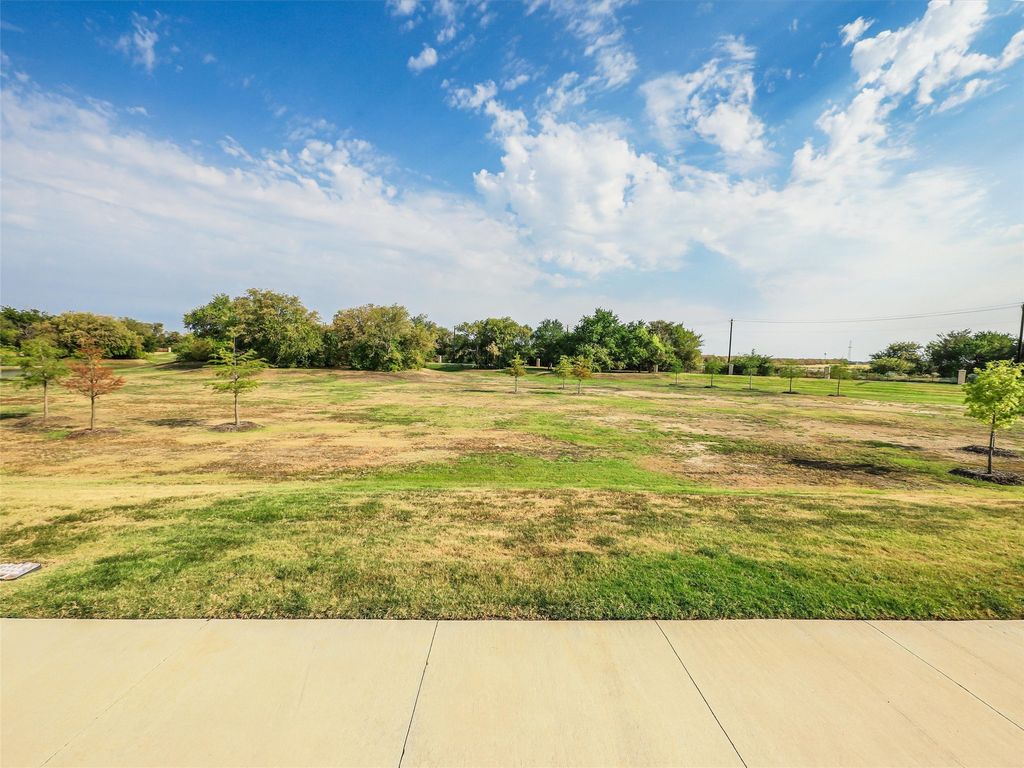 3921 Bluestem Boulevard, Argyle, TX 76226 — photo 5