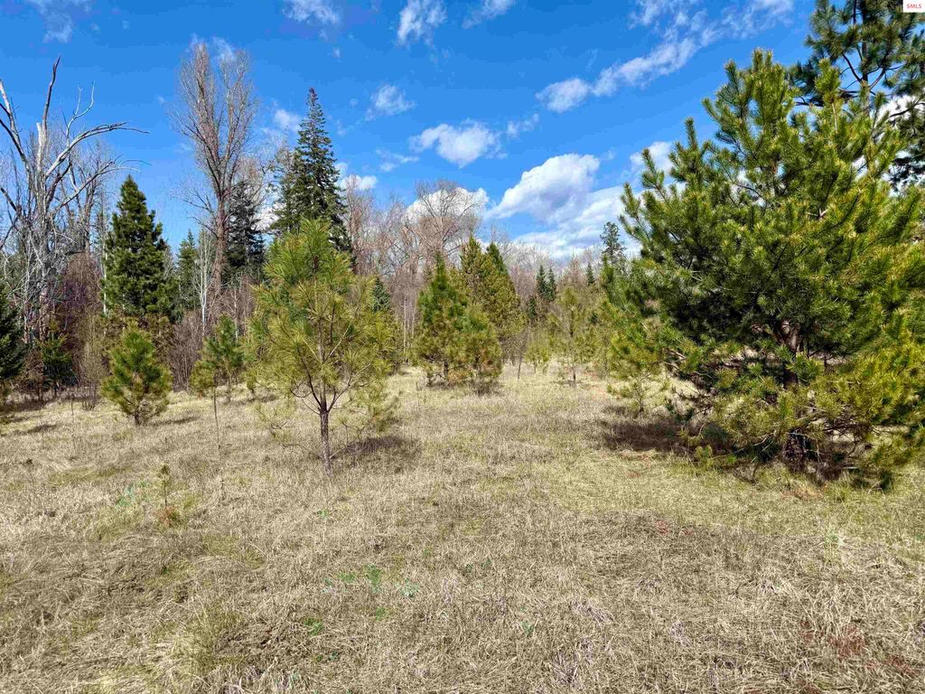 3216 Dufort Road, Sagle, ID 83860 photo 17