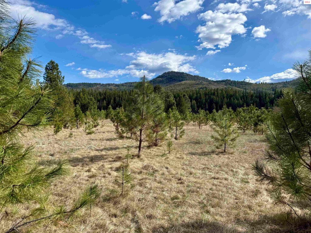 3216 Dufort Road, Sagle, ID 83860 photo 18