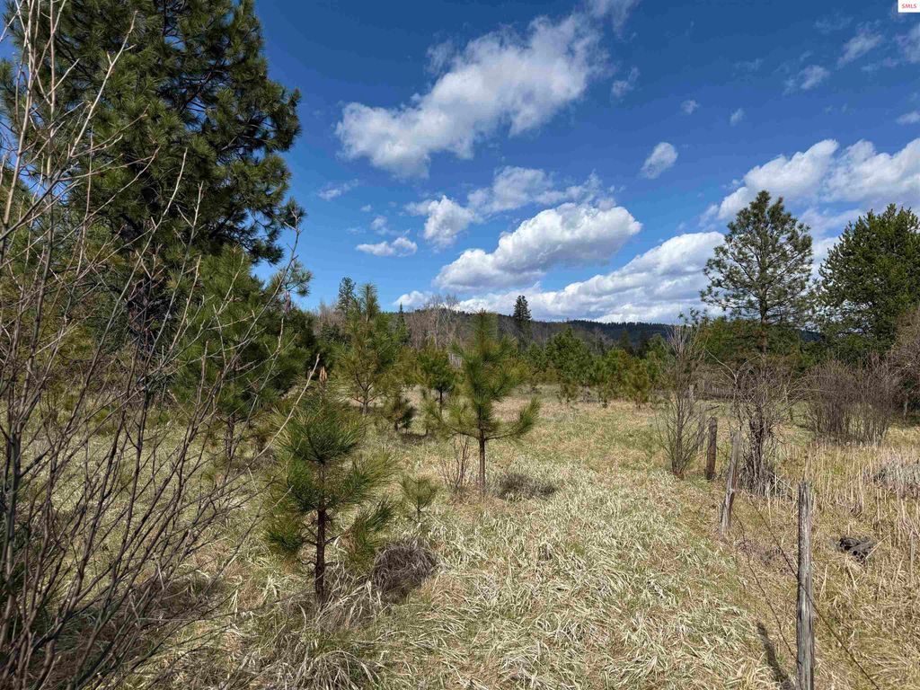 3216 Dufort Road, Sagle, ID 83860 photo 20