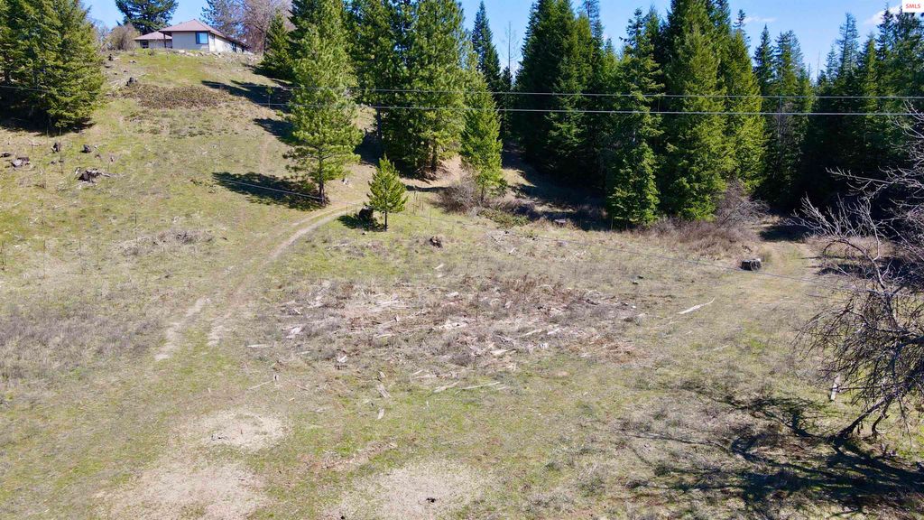 3216 Dufort Road, Sagle, ID 83860 photo 27