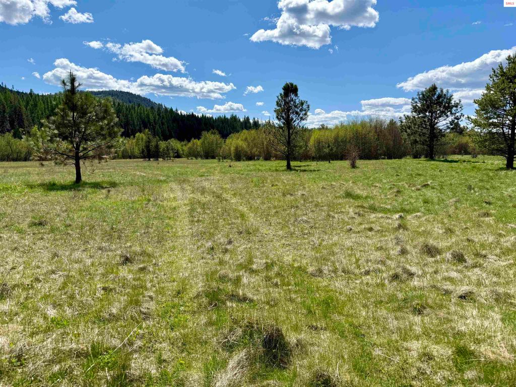 3216 Dufort Road, Sagle, ID 83860 photo 75