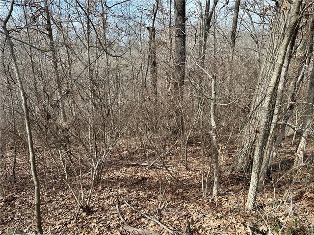 Lot 15 Billingsley Drive, Bella Vista, AR 72715