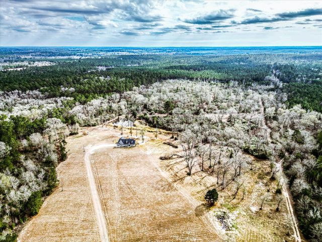 3610 Fm 2423, Grapeland, TX 75844