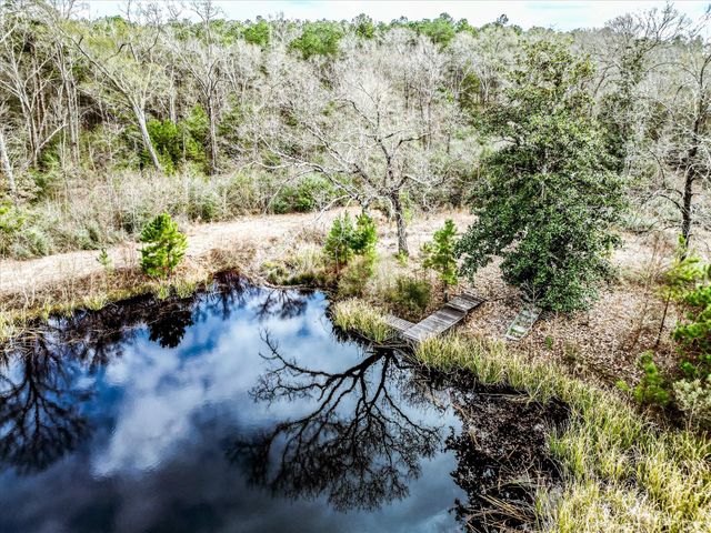 3610 Fm 2423, Grapeland, TX 75844