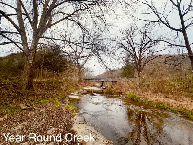 1611 Knob Creek Rd, Celina, TN 38551