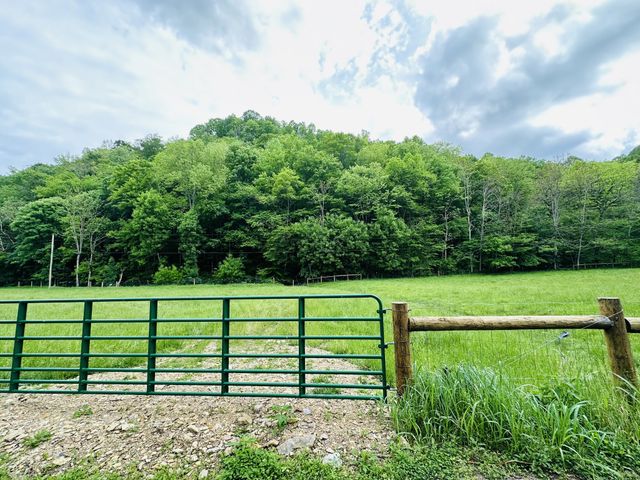 1611 Knob Creek Rd, Celina, TN 38551