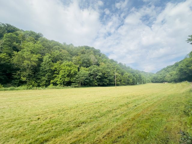 1611 Knob Creek Rd, Celina, TN 38551