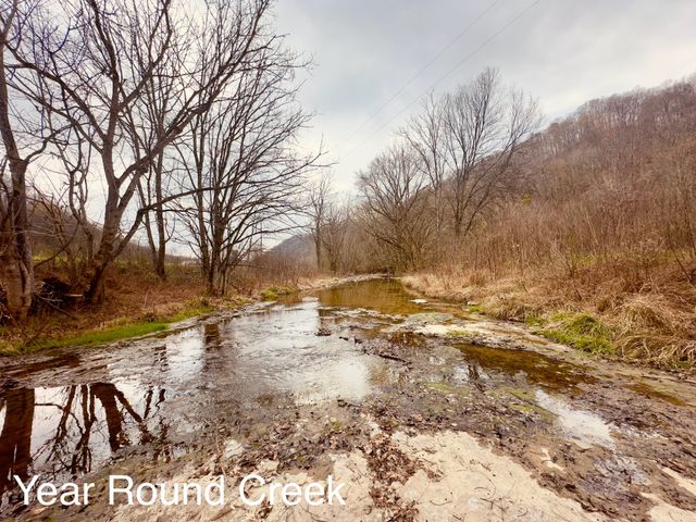 1611 Knob Creek Rd, Celina, TN 38551