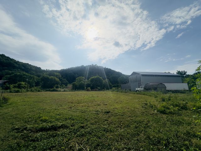 1611 Knob Creek Rd, Celina, TN 38551