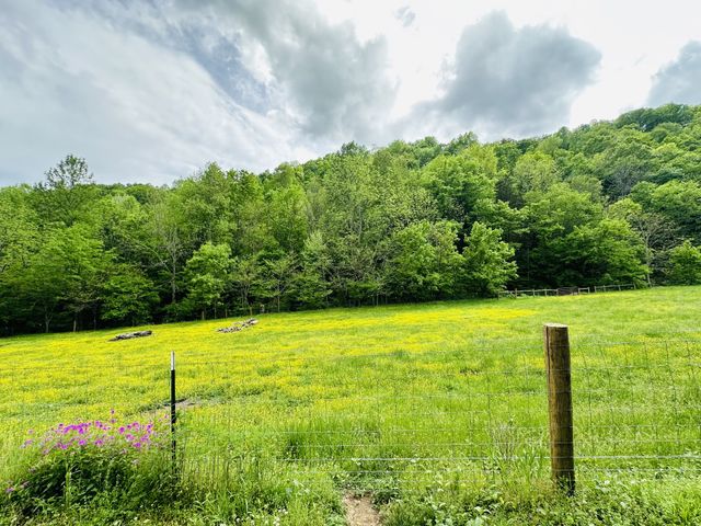 1611 Knob Creek Rd, Celina, TN 38551