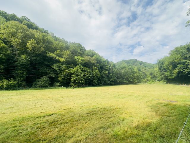 1611 Knob Creek Rd, Celina, TN 38551