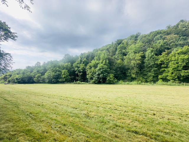 1611 Knob Creek Rd, Celina, TN 38551