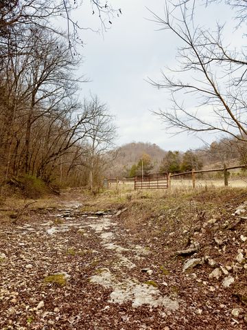 1611 Knob Creek Rd, Celina, TN 38551