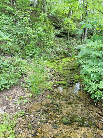1611 Knob Creek Rd, Celina, TN 38551