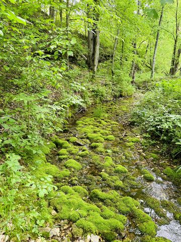 1611 Knob Creek Rd, Celina, TN 38551