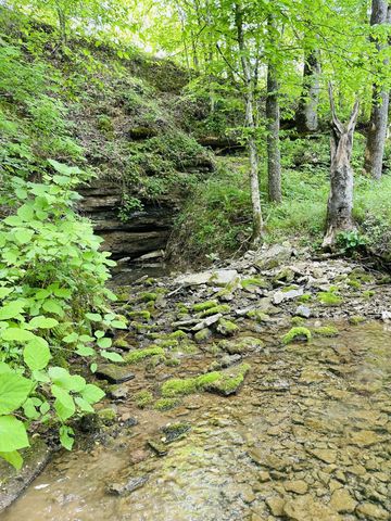 1611 Knob Creek Rd, Celina, TN 38551