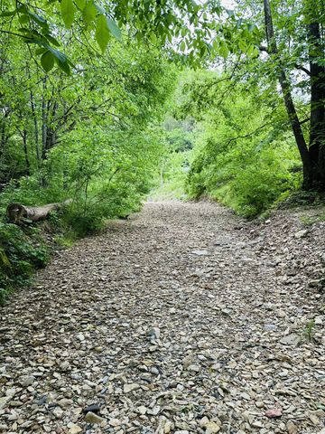 1611 Knob Creek Rd, Celina, TN 38551