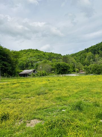 1611 Knob Creek Rd, Celina, TN 38551