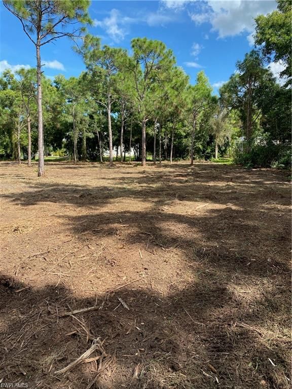 8756 Nome CT, ST. JAMES CITY, FL 33956 — photo 2