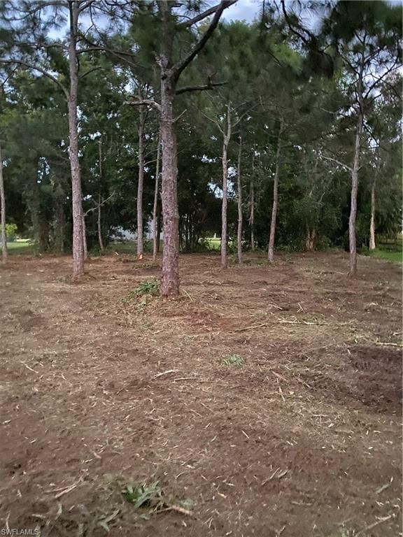 8756 Nome CT, ST. JAMES CITY, FL 33956 — photo 3