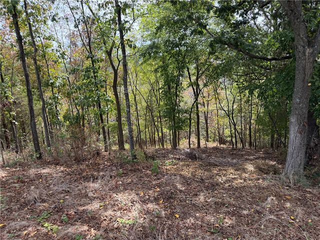 TBD Serenity Point Lane, Rogers, AR 72756