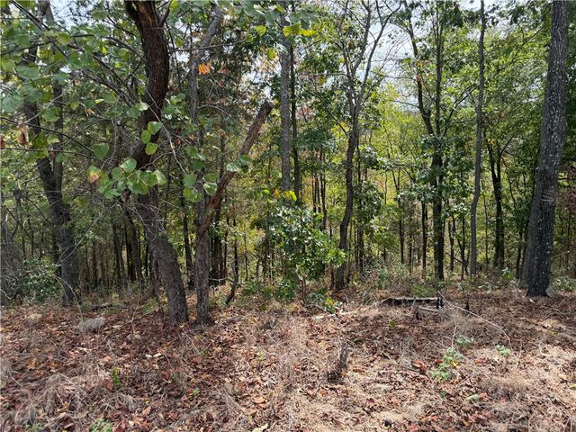 TBD Serenity Point Lane, Rogers, AR 72756