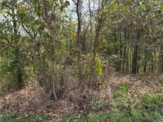 TBD Serenity Point Lane, Rogers, AR 72756
