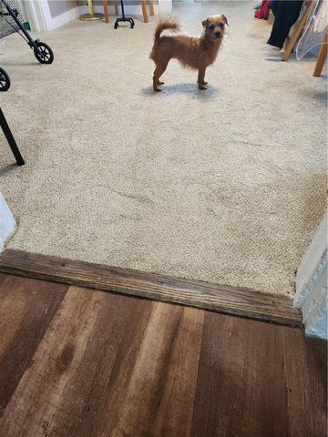 2814 Leo ST, Norfolk, VA 23504