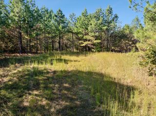 0 Cox Hollow Lot 43A & 43B, Dover, TN 37058