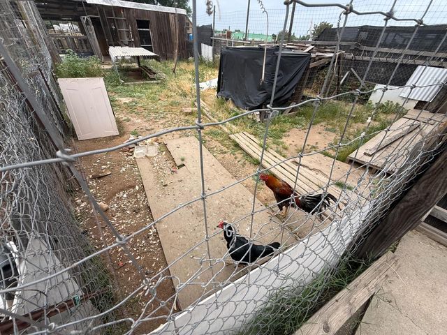 4140 W Belmont Avenue, Fresno, CA 93722