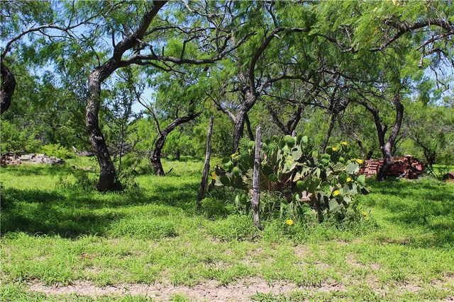 0 S County Road 1010, Kingsville, TX 78363