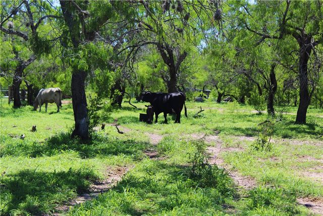 0 S County Road 1010, Kingsville, TX 78363