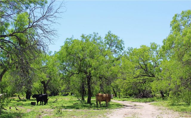 0 S County Road 1010, Kingsville, TX 78363
