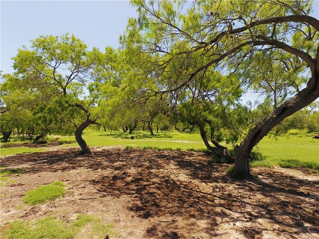 0 S County Road 1010, Kingsville, TX 78363