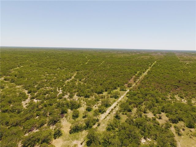 0 S County Road 1010, Kingsville, TX 78363