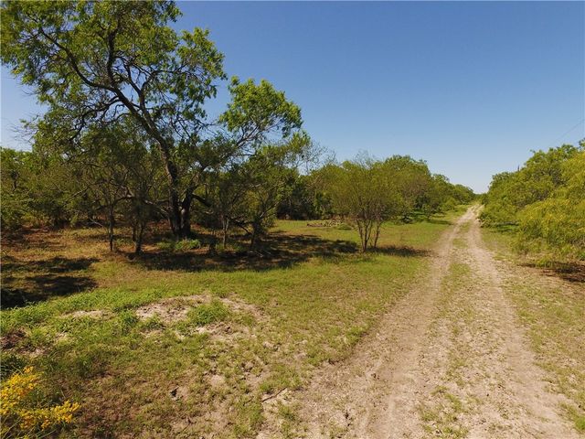 0 S County Road 1010, Kingsville, TX 78363
