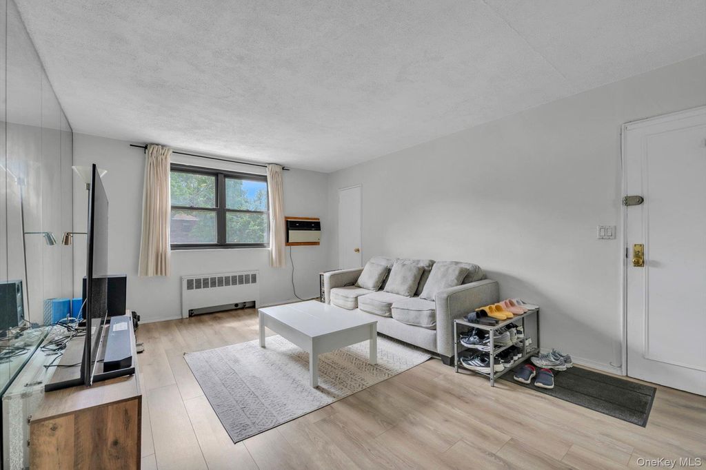 245-71 62nd Avenue B1-12, Little Neck, NY 11362 — photo 4