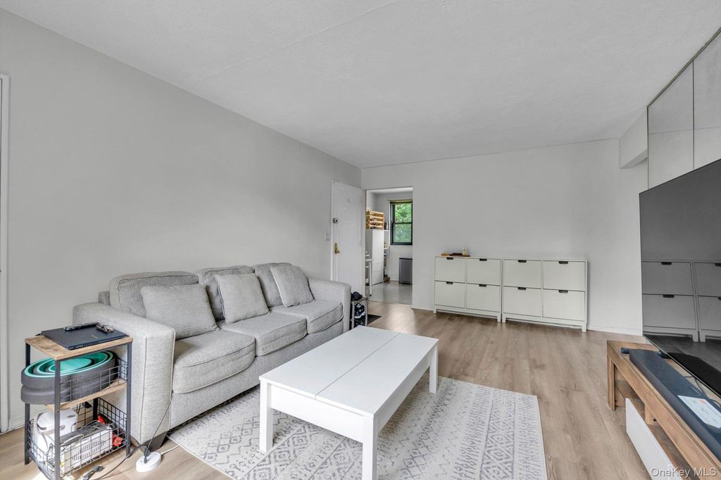 245-71 62nd Avenue B1-12, Little Neck, NY 11362 — photo 5