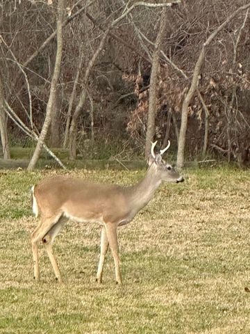 19470 County Road 4072, Kemp, TX 75143