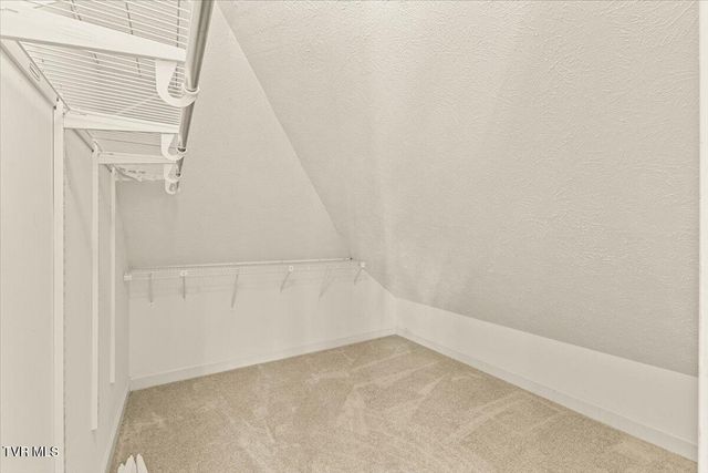 1801 Bramblewood Drive, Kingsport, TN 37660