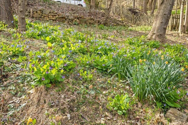 1801 Bramblewood Drive, Kingsport, TN 37660