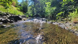 Lot 21 Lack Creek Drive, Shingletown, CA 96088