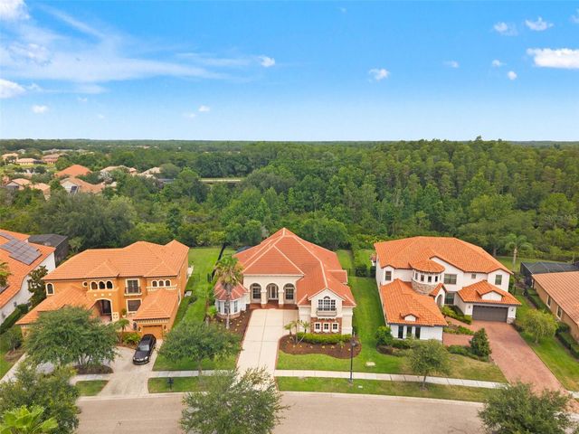 8412 DUNHAM STATION DRIVE, Tampa, FL 33647