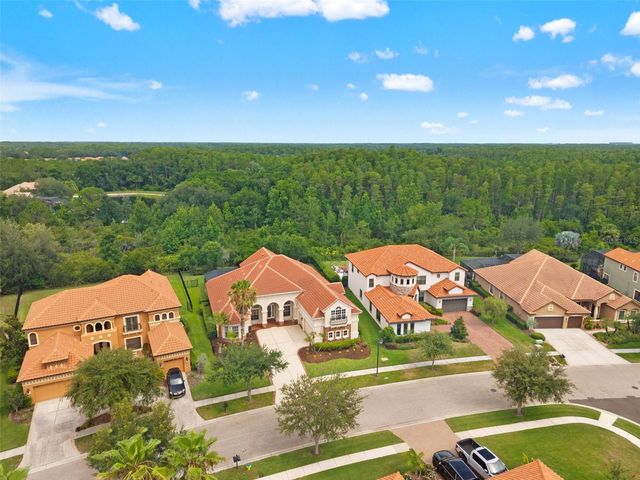 8412 DUNHAM STATION DRIVE, Tampa, FL 33647