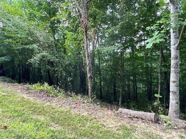 19 Garren View Drive, Fairview, NC 28730